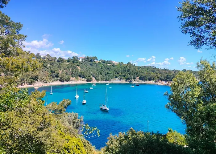 Appartement T3 De Prestige Toulon Cap Brun - Proche De La Plage